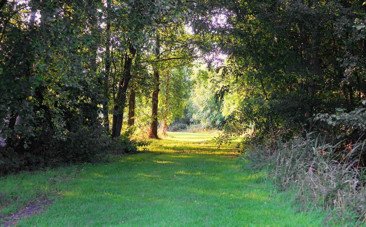 Woodpecker Lodge - Brook Meadow - Sleeps 4 Plus 2 - No Pets Маркет-Харборо Экстерьер фото
